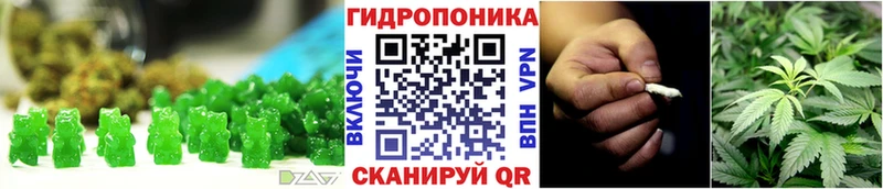 дарнет шоп  Клин  Canna-Cookies конопля 