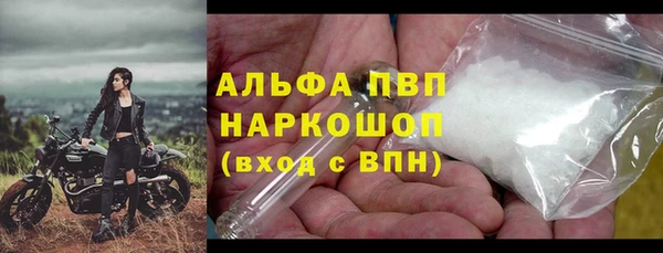 спайс Бородино