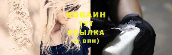 спайс Бородино