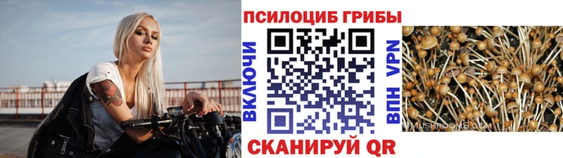 Галлюциногенные грибы GOLDEN TEACHER  Клин 
