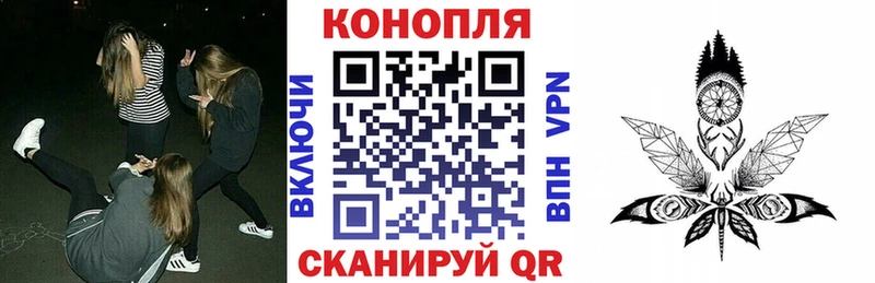 где найти   Клин  Конопля сатива 